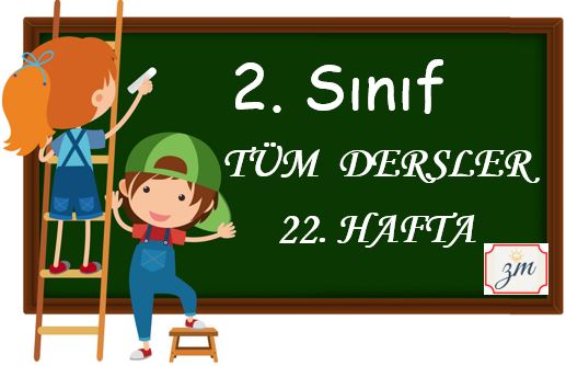 2. Sınıf 22. Hafta Tüm Dersler Etkinliği (15-21 Mart)